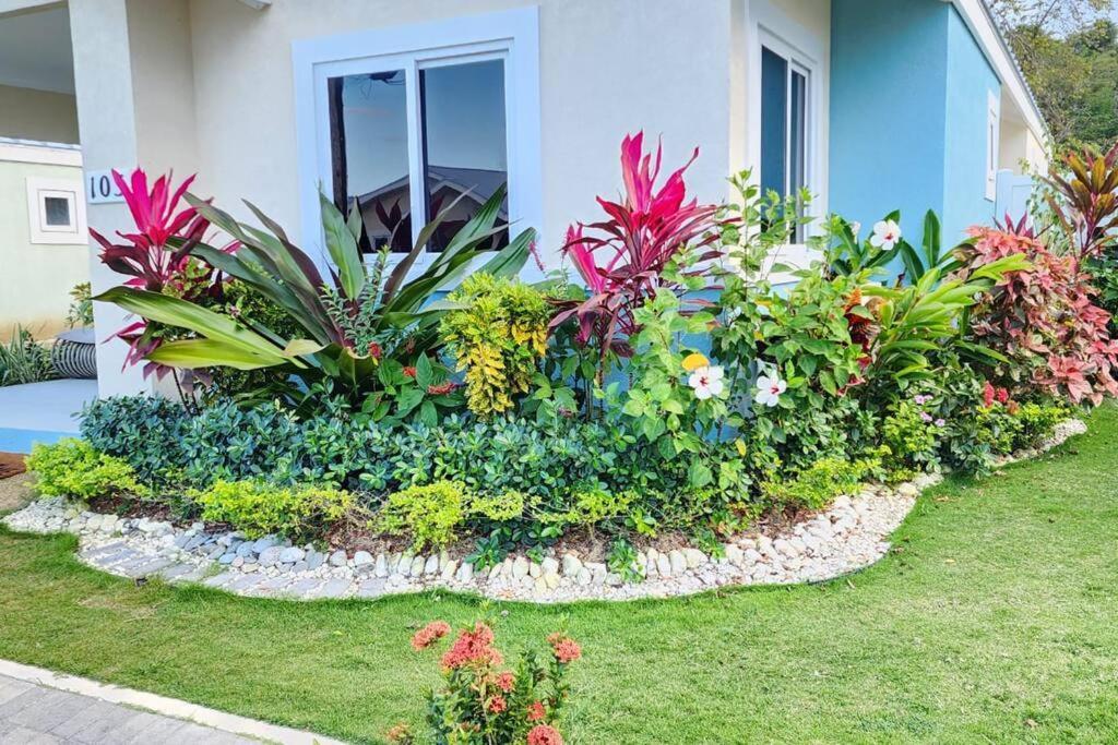 Snooze At Oceanpointe Villa Lucea Exterior photo